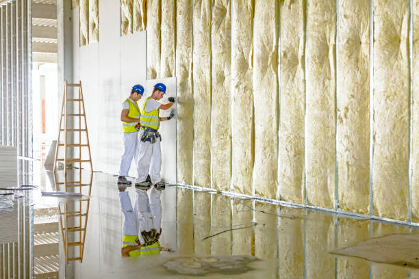 Best Insulation Maintenance and Repair in South Zanesville, OH